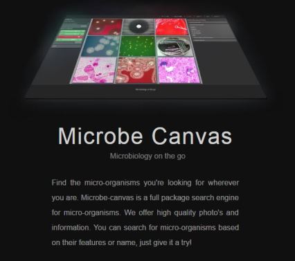microbecanvas
