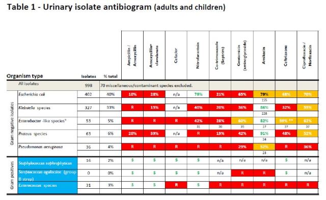 Microbiology and Infectious Diseases postgraduate teaching (PRIDA ...